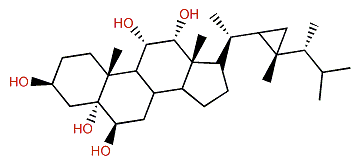 Lobophysterol D